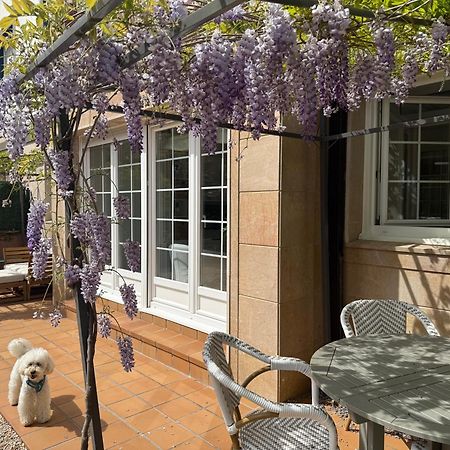 Bakea Apto Con Jardin Privado Bakio Ngoại thất bức ảnh