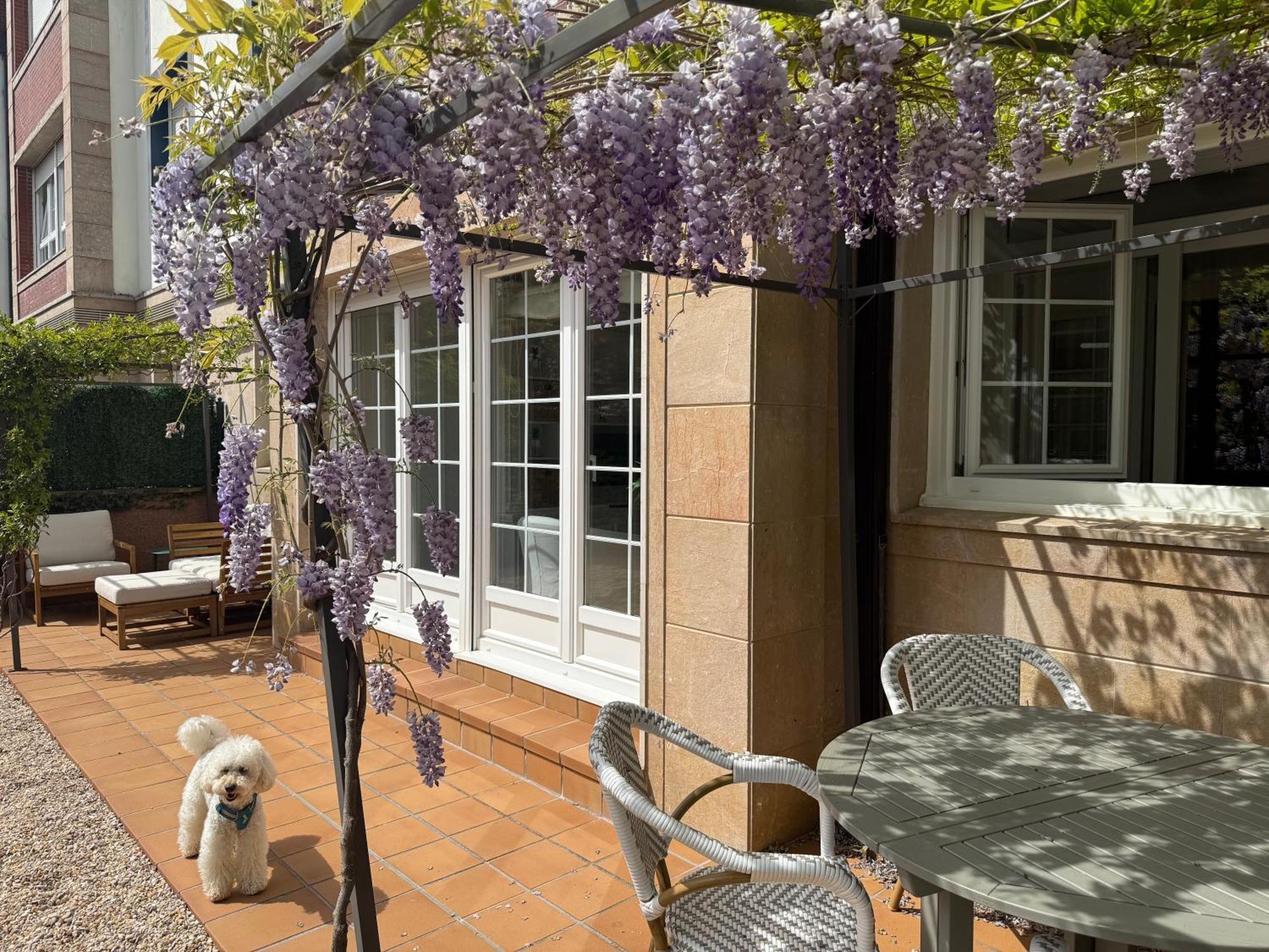Bakea Apto Con Jardin Privado Bakio Ngoại thất bức ảnh