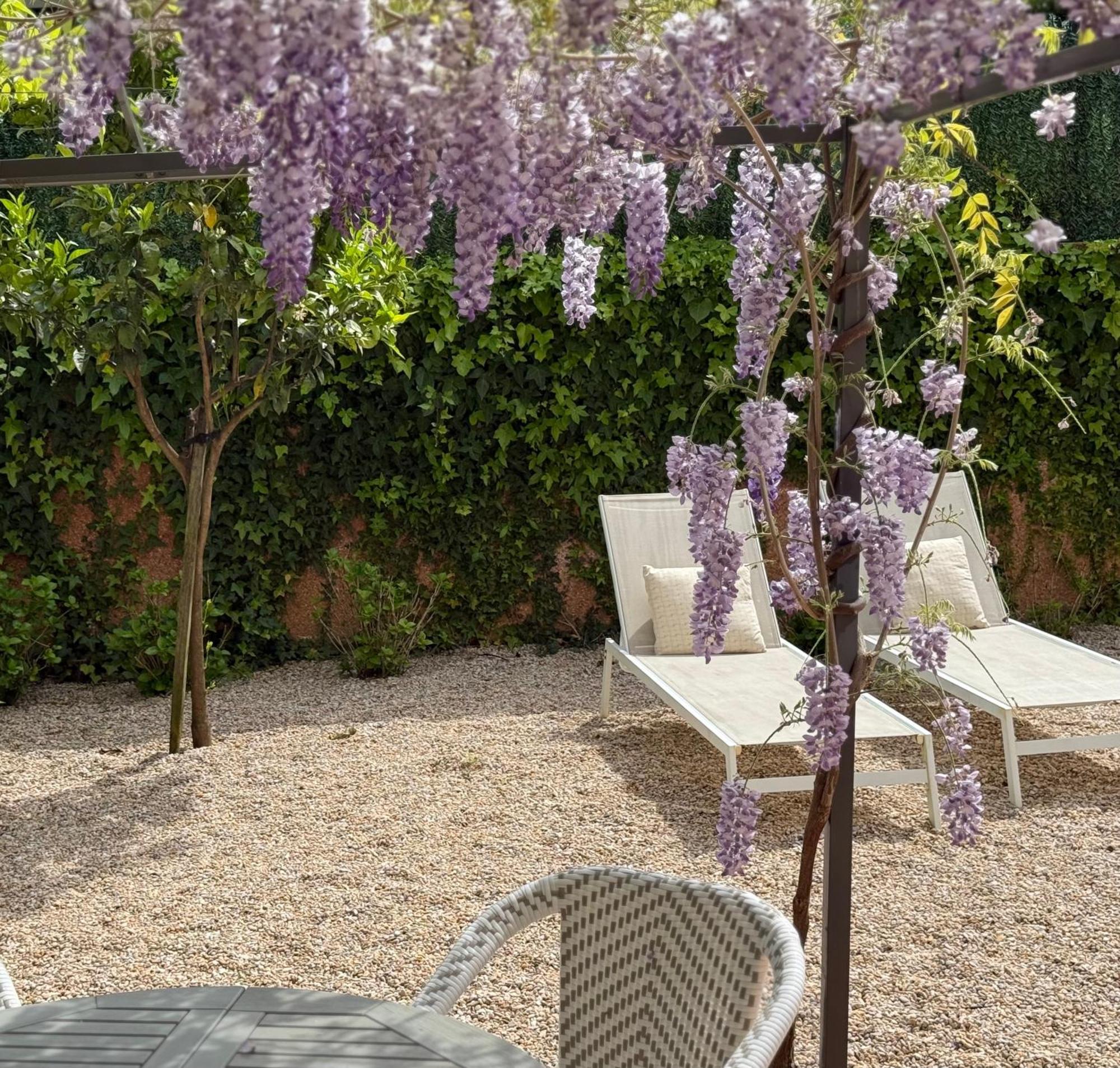 Bakea Apto Con Jardin Privado Bakio Ngoại thất bức ảnh